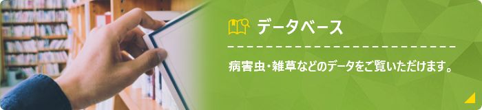 データベース 病害虫・雑草などのデータをご覧いただけます